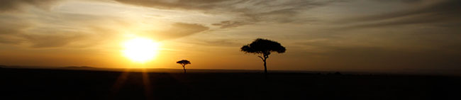 afrika
