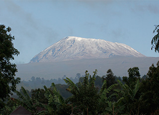 Kilimanjaro