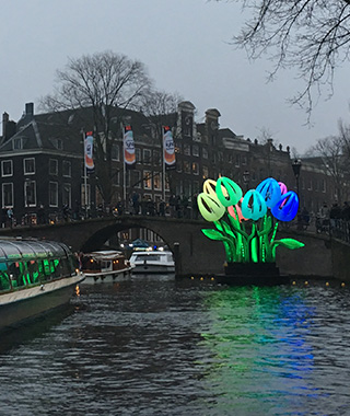 tulpen