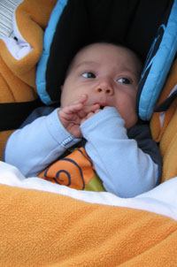Luca