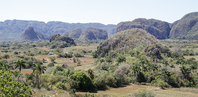 vinales