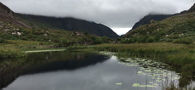 Killarney NP