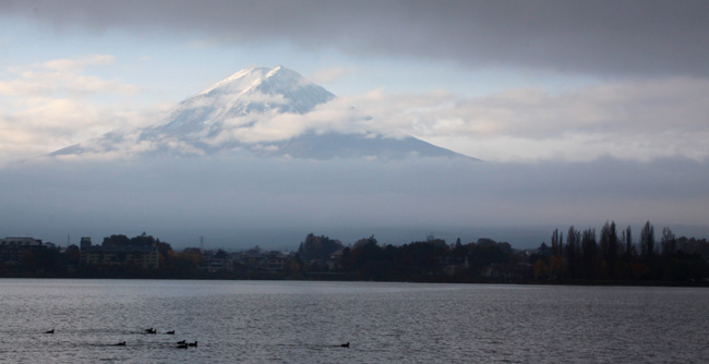 fuji