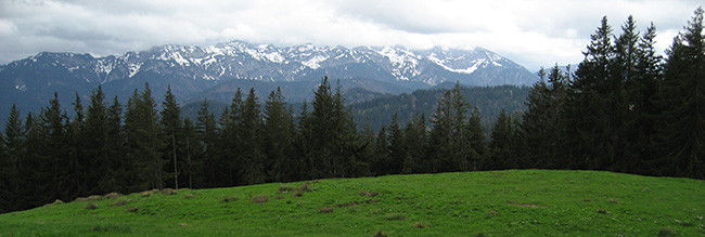 Berge