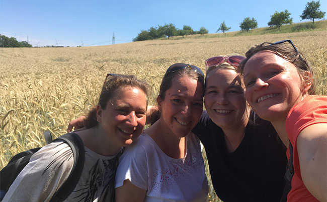 Damen im Kornfeld