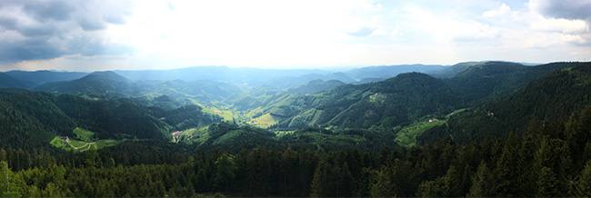 Schwarzwald-Panorama
