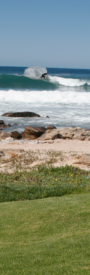 Surf