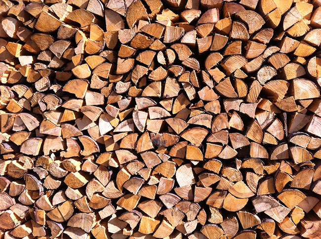 holz