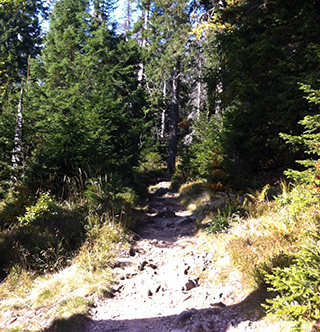 der_weg