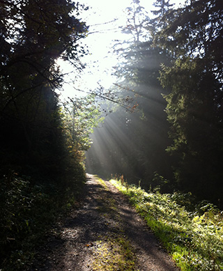 der_weg_sonne